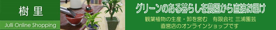 ��Τ����饤�󥷥�å�