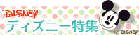�ǥ����ˡ��ý�
