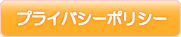 �ץ饤�Х����ݥꥷ��