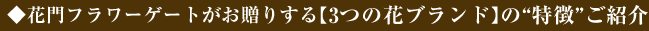 3�Ĥβ֥֥��ɤΡ���ħ�ɤ��Ҳ�