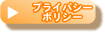 �ץ饤�Х����ݥꥷ��