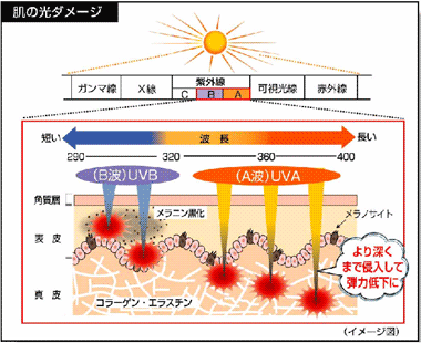 紫外線 に対する画像結果