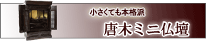 ���ڥߥ�ʩ��