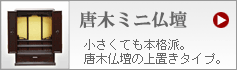 �ߥ�ʩ��