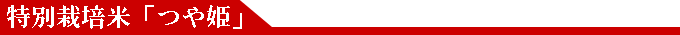 �����ȥ����