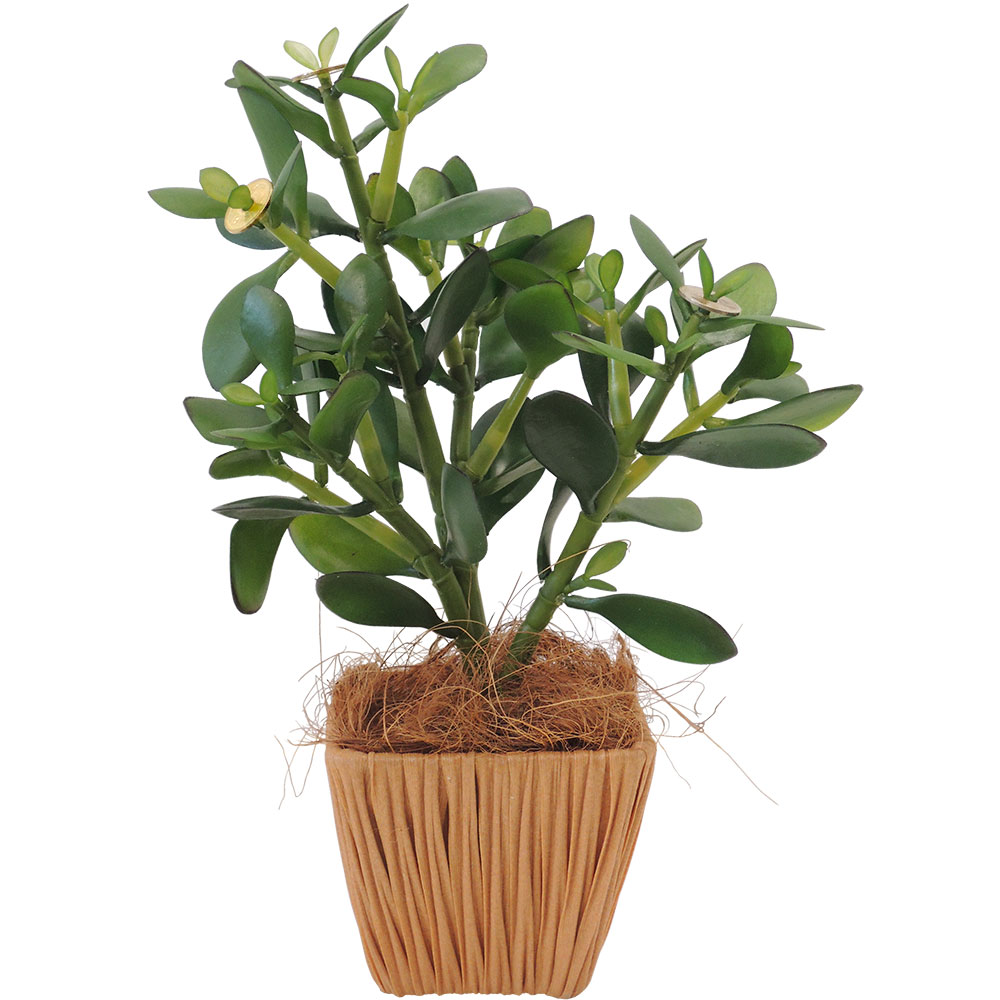 人工観葉植物・全高30cm・金のなる木・五円玉付き(クラッスラ/カゲツ)(カジュアルポット/卓上グリーン/インテリアグリーン)(人工樹木/造花/フェイク) agm30人工観葉植物と造花の 人工観葉植物・全高30cm・金のなる木・五円玉付き(クラッスラ/カゲツ)(カジュアルポット/卓上グリーン/インテリアグリーン)(人工樹木/造花/フェイク) agm30人工観葉植物と造花の