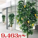�ѥѥ��䡦�ޥ󥴡��������