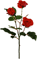 ¤�֤˸�����