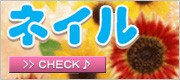 �ͥ��륫�顼