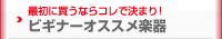 �ӥ��ʡ���������ڴ�
