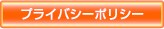 �ץ饤�Х����ݥꥷ��