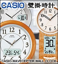 CASIO�ɳݻ���