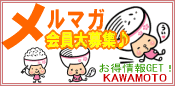 �˥塼���쥿����������