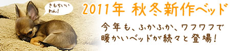 2011ǯ���߿���٥å�