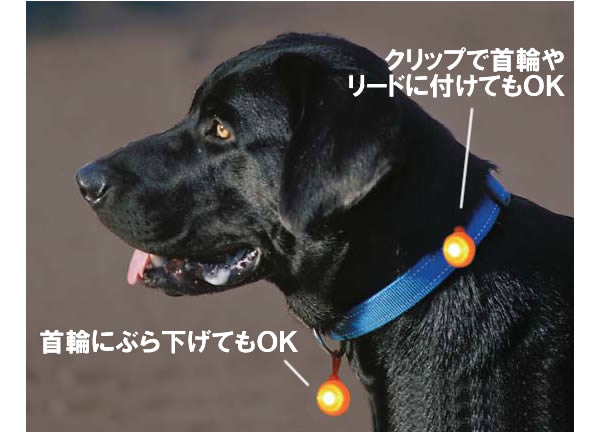 ����åפǼ��ؤ�꡼�ɤ��դ��Ƥ�OK�����ؤˤ֤鲼���Ƥ�OK��