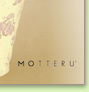 MOTTERU����åƥ롡�ݥ����������������Хå�