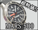 �ե���ƥ��� �ޡ���500