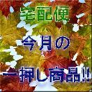 �����غ���ΰ첡�������ʡ�
