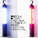 JPN��LED�����