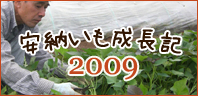 ��Ǽ����Ĺ��2009
