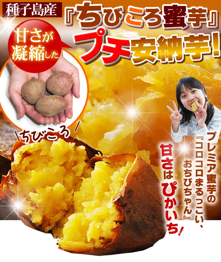 ����绺���Ť����Ž̤������Ӥ���̪��ץ���Ǽ��