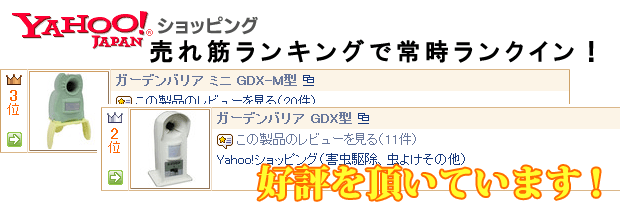 yahoo!����åԥ󥰥�󥭥󥰾��