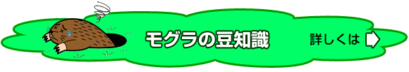 �⥰���Ʀ�μ�
