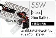 55W HID�ե륭�å�
