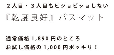 �����ɹ�����ե�ߥˡ��Ӥ���Ӥ��礷�ʤ��Х��ޥåȡ��ݥå���1000�ߡ�