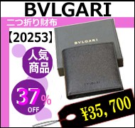 �֥륬����ۡ�20253��
