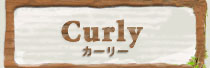 curly -�������꡼