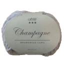 champagne*�����ѡ��˥�*