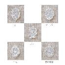 Le timbre de motif���������*