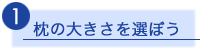 �����礭�������ܤ�