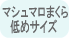 �ޥ���ޥ��ޤ�����᥵����