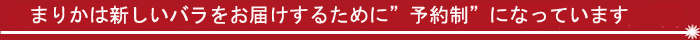 �Х�β�«
