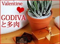 �֥��եȤΥ꡼��