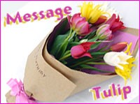 �֥��եȤΥ꡼��