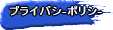 �ץ饤�Х����ݥꥷ��