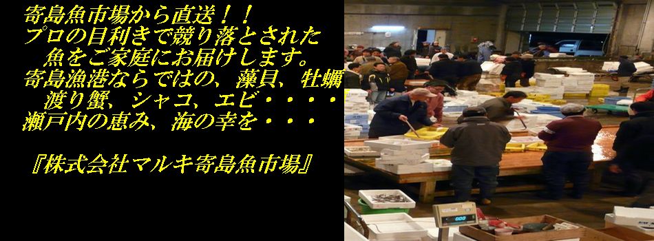 ������ҥޥ륭������Ծ�