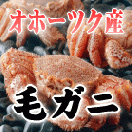���ۡ��ĥ��������ӥ���