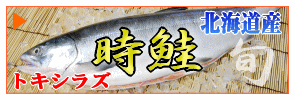 �ֻ����ץȥ����饺�����桪