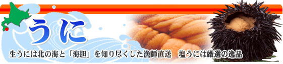 ���ˡ��ܰХХե󥦥ˡ���饵�����ˡ�������