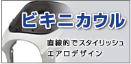 �ӥ��˥�����