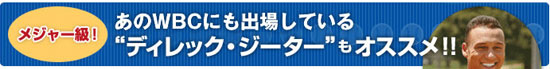 �ǥ���å�����������