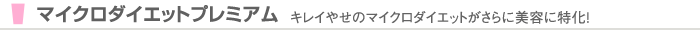 �ޥ������������åȥץ�ߥ���