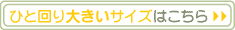 �ҤȲ���礭���������Ϥ�����