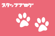 �ߥ�ƥ��������åդˤ��֥����Ϥ������