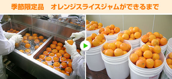 ����󥸥��饤���������¤����