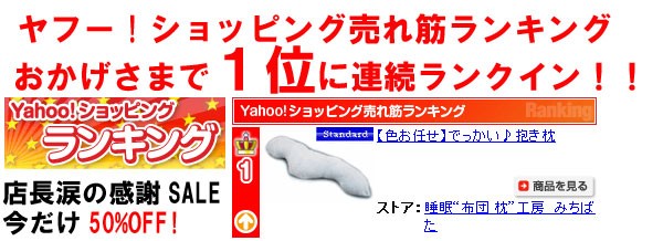 �Ǥä���������